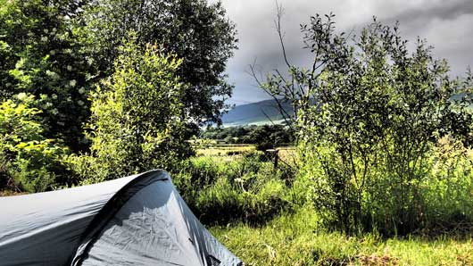 Spotty Dog Campsite